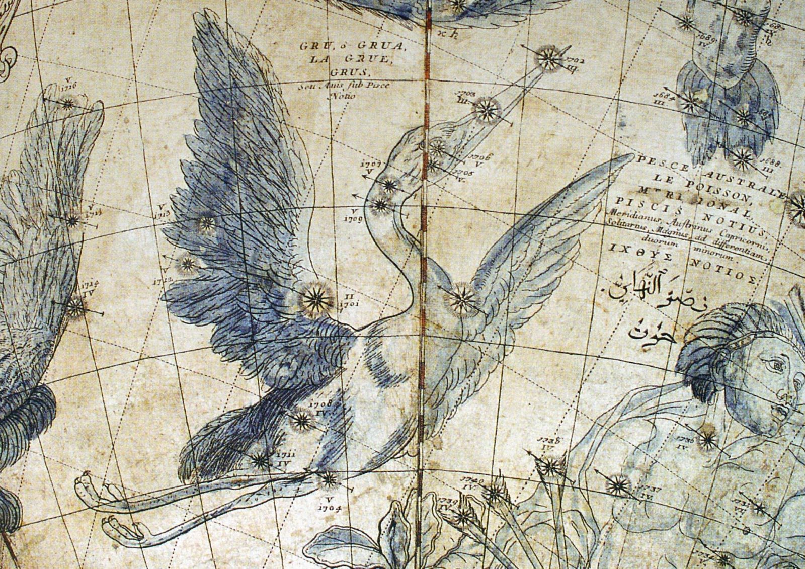una vecchia mappa con uccelli e fiori sopra