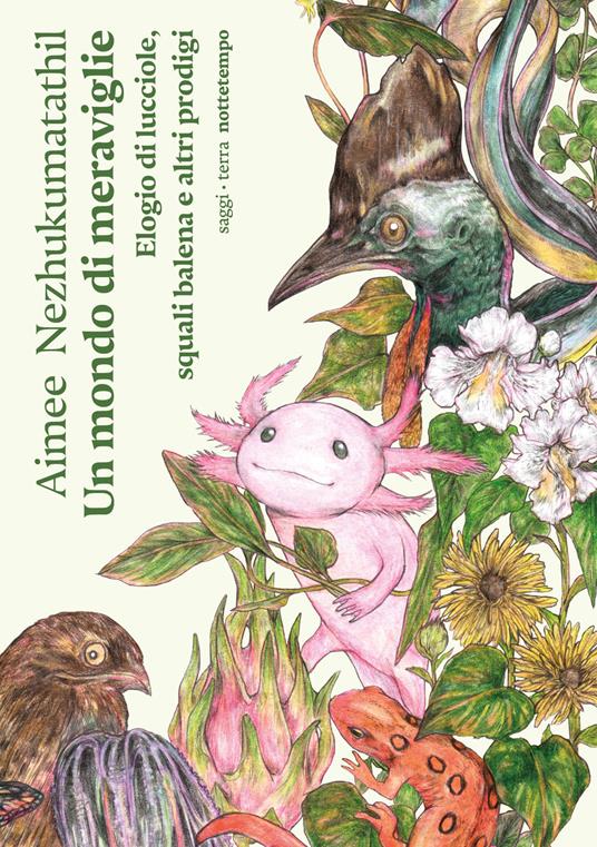 un disegno di uccelli e fiori su uno sfondo bianco